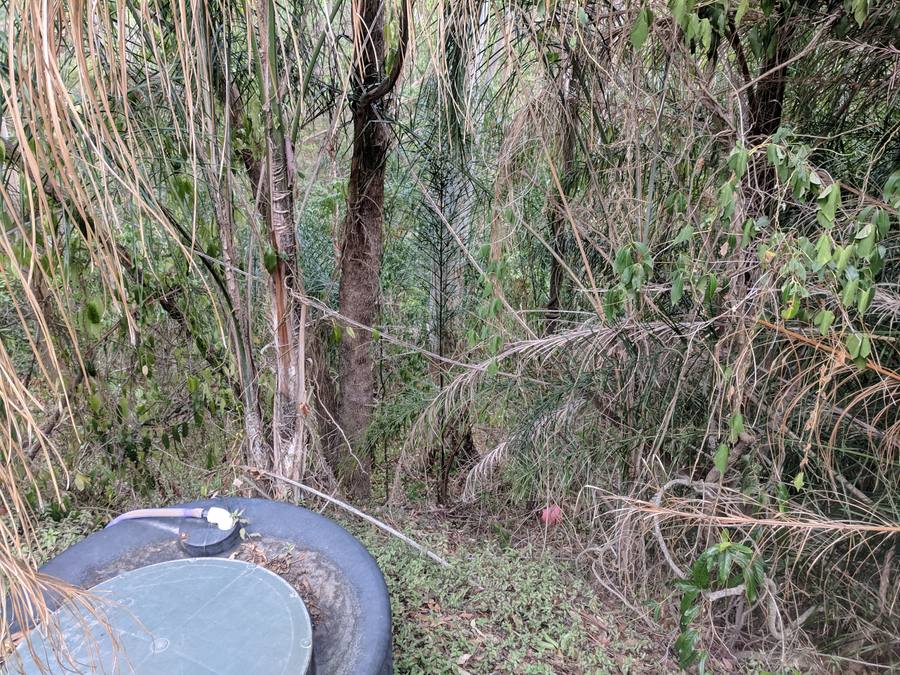 Side Gully
