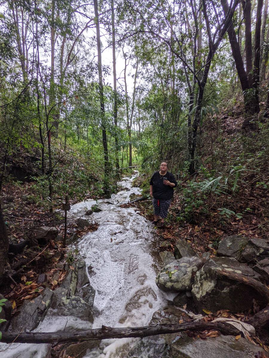 The Stream